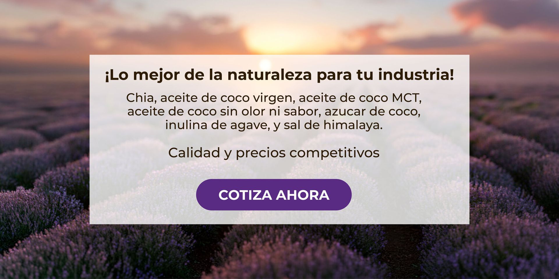 Banner Chía
