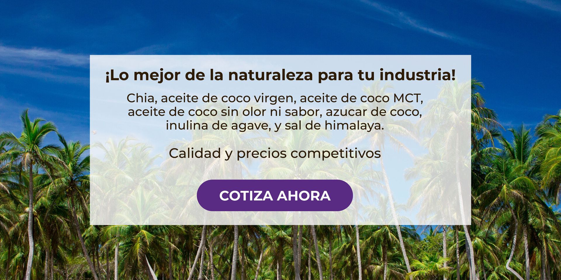 Banner Aceite de Coco